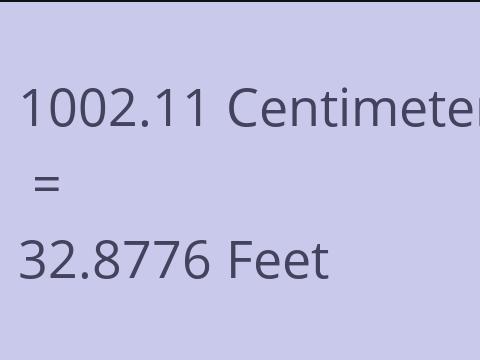 1002.11 CM TO FEET