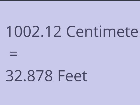 1002.12 CM TO FEET