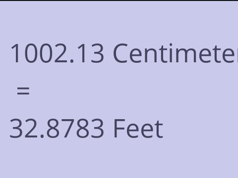 1002.13 CM TO FEET