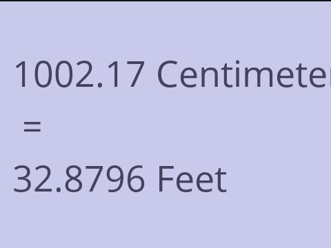 1002.17 CM TO FEET