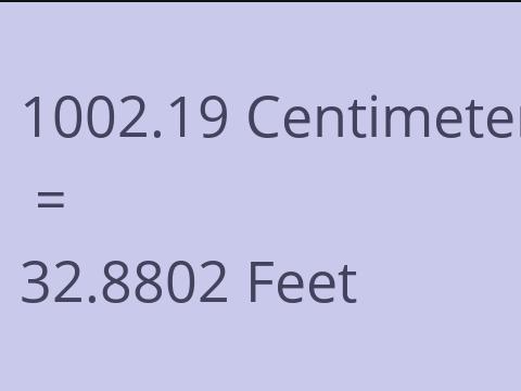 1002.19 CM TO FEET