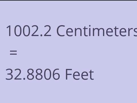 1002.2 CM TO FEET