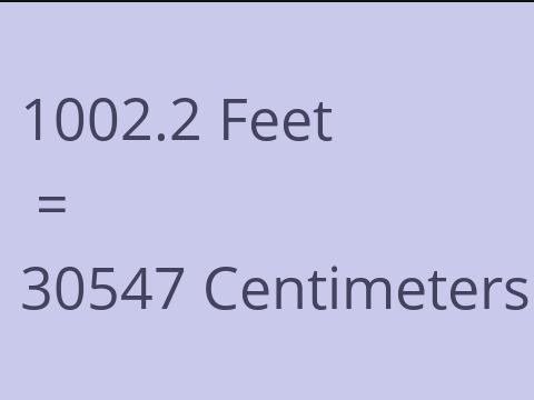 1002.2 FEET TO CM