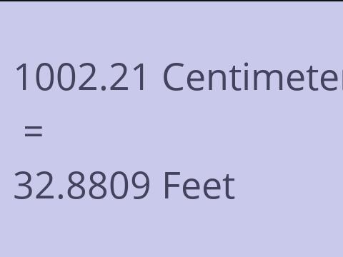 1002.21 CM TO FEET