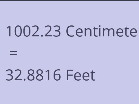 1002.23 CM TO FEET