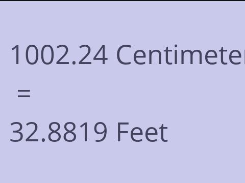 1002.24 CM TO FEET