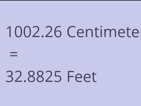 1002.26 CM TO FEET