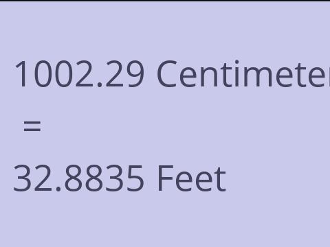 1002.29 CM TO FEET