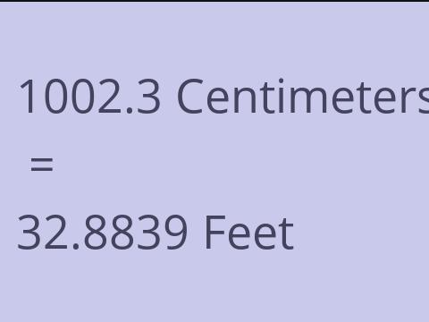 1002.3 CM TO FEET