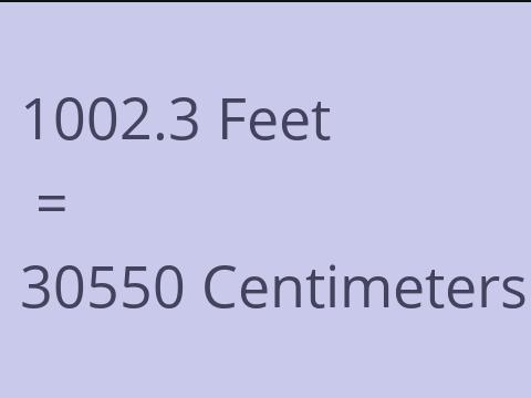 1002.3 FEET TO CM