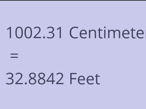 1002.31 CM TO FEET