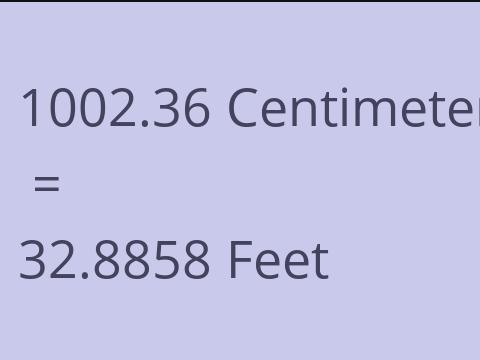 1002.36 CM TO FEET