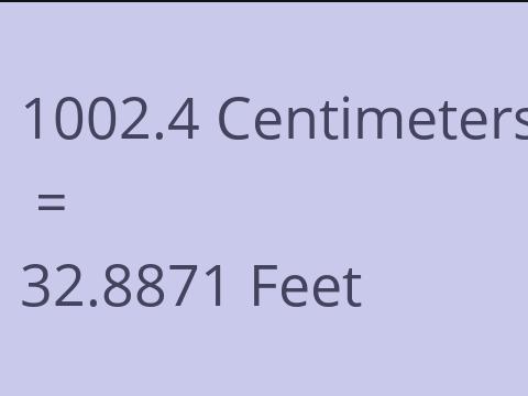 1002.4 CM TO FEET