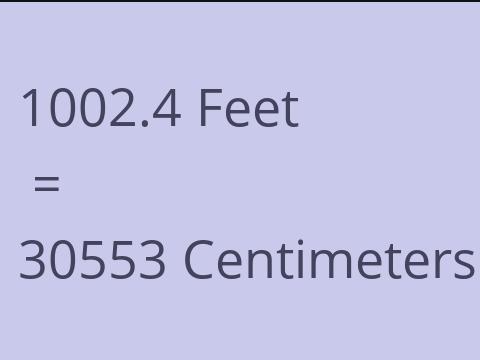 1002.4 FEET TO CM