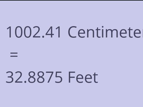 1002.41 CM TO FEET