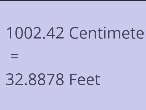 1002.42 CM TO FEET