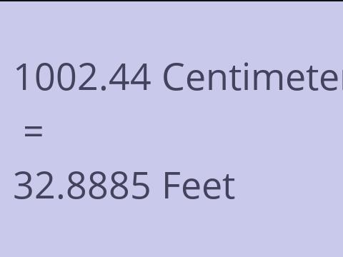 1002.44 CM TO FEET