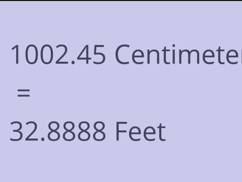 1002.45 CM TO FEET