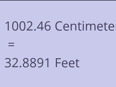 1002.46 CM TO FEET