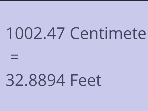 1002.47 CM TO FEET