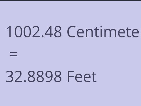 1002.48 CM TO FEET