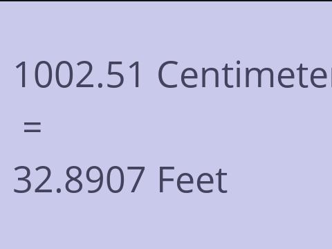 1002.51 CM TO FEET