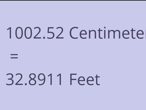 1002.52 CM TO FEET