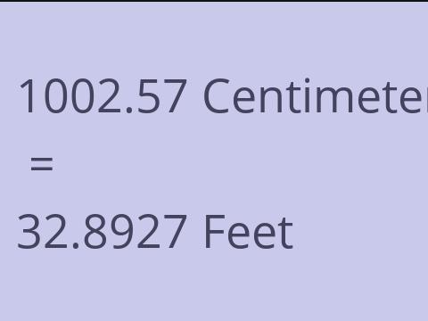 1002.57 CM TO FEET