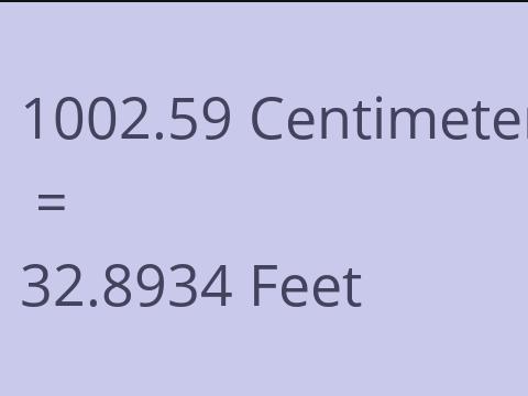 1002.59 CM TO FEET