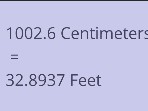 1002.6 CM TO FEET