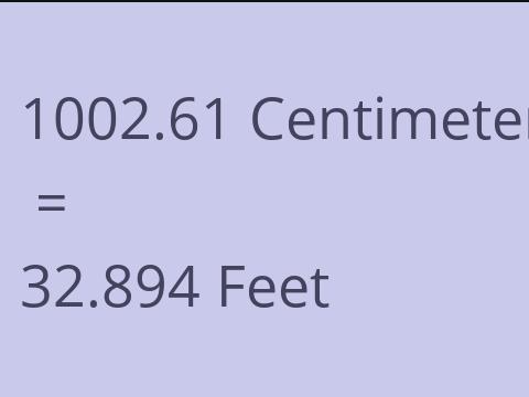 1002.61 CM TO FEET