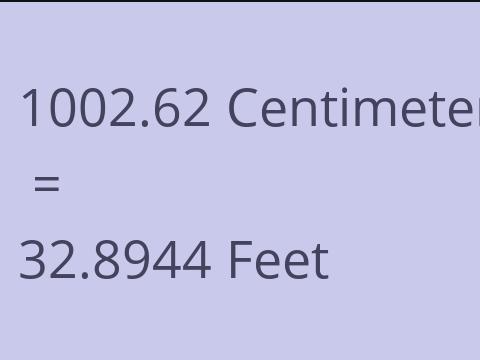 1002.62 CM TO FEET