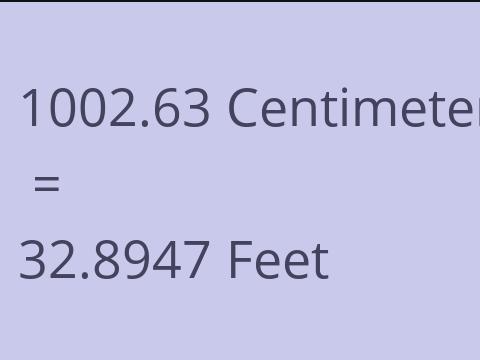 1002.63 CM TO FEET