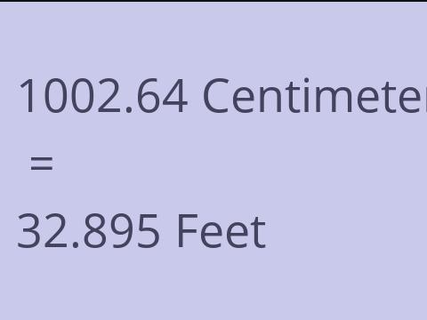 1002.64 CM TO FEET