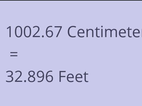 1002.67 CM TO FEET