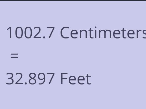 1002.7 CM TO FEET