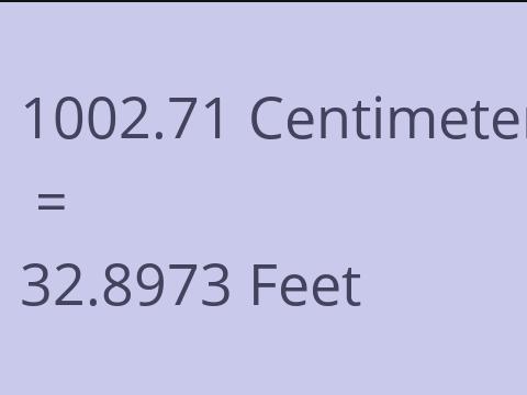 1002.71 CM TO FEET