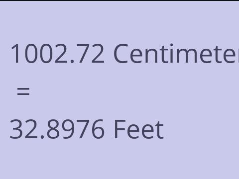 1002.72 CM TO FEET