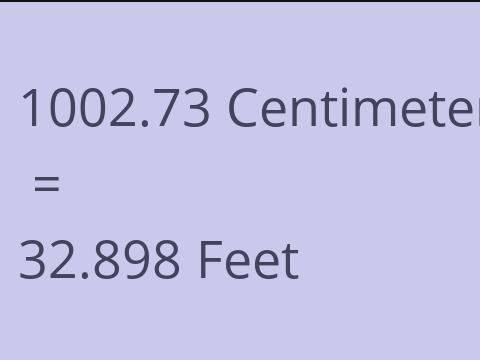 1002.73 CM TO FEET