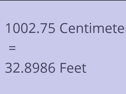 1002.75 CM TO FEET