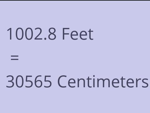 1002.8 FEET TO CM