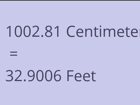 1002.81 CM TO FEET