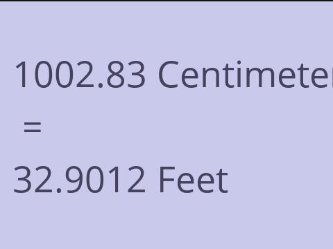 1002.83 CM TO FEET