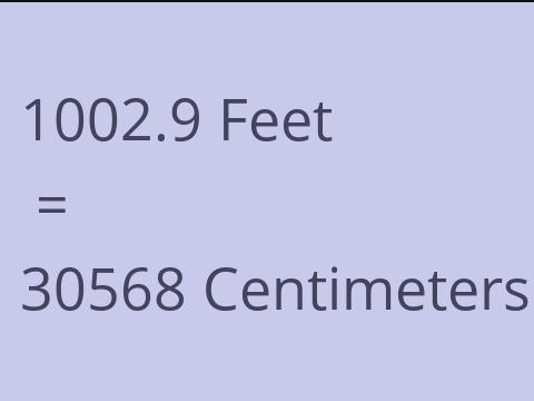 1002.9 FEET TO CM