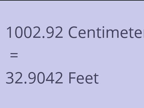 1002.92 CM TO FEET