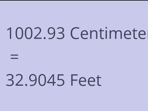 1002.93 CM TO FEET