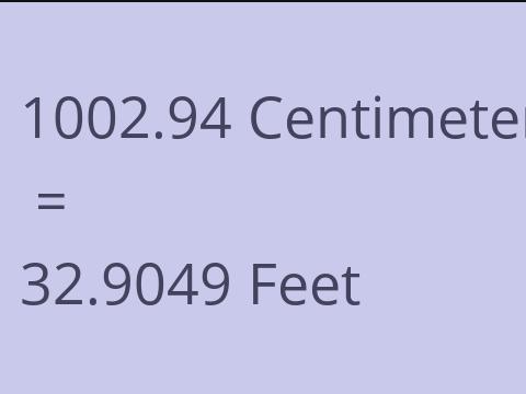 1002.94 CM TO FEET