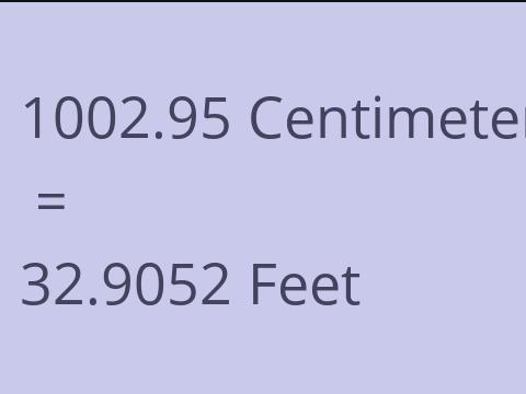 1002.95 CM TO FEET