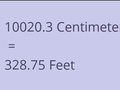 10020.3 CM TO FEET