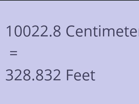 10022.8 CM TO FEET